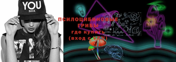 кокс Баксан