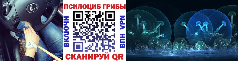 Псилоцибиновые грибы MAGIC MUSHROOMS  купить закладку  Макарьев 